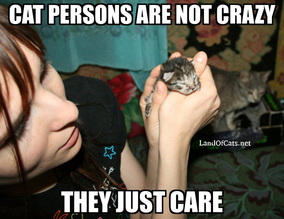 cat persons care