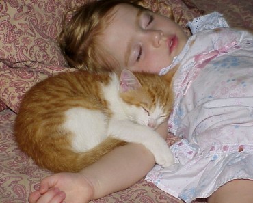 Cats And Babies Can Share A Wonderful Relationship!