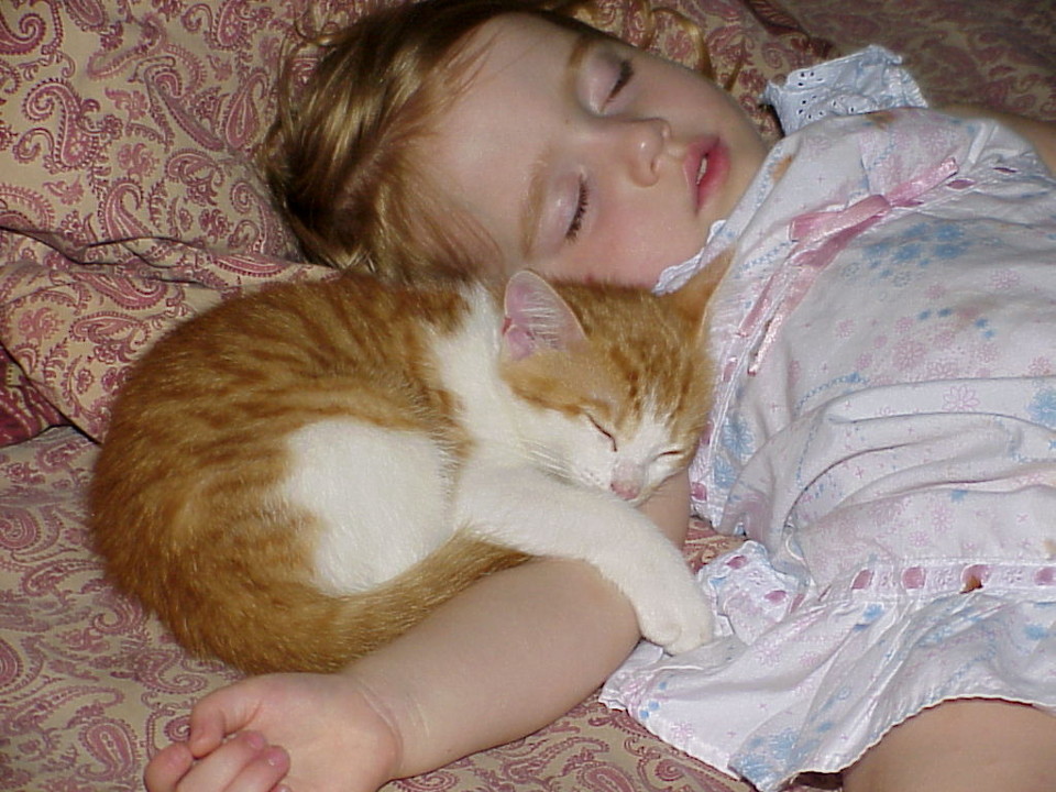 Cats And Babies Can Share A Wonderful Relationship!