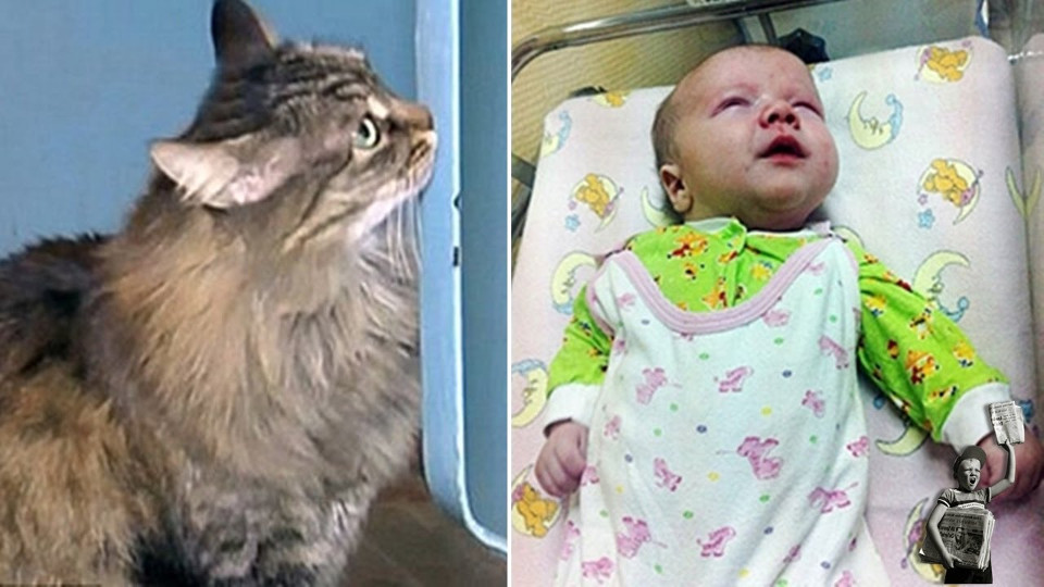 Cat Stayed Next To An Abandoned Child For Hours To Keep Him Alive