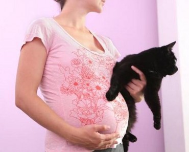 Are Cats a Threat to Pregnancy?