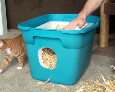 How to Make a Shelter For Stray And Feral Cats