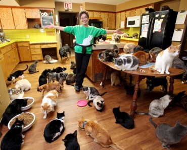 The Amazing Lady With 1000 Cats