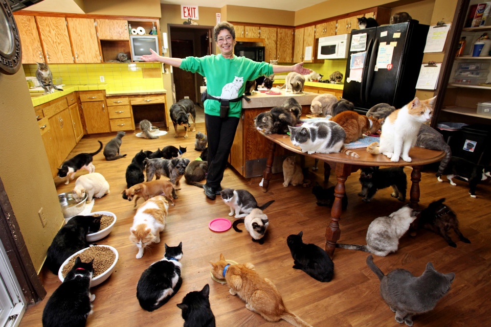 The Amazing Lady With 1000 Cats