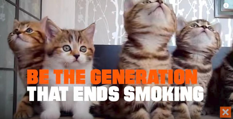 To Prevent #CATmaggedon, Quit Smoking!