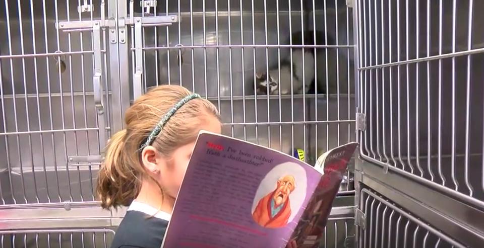 Cats And Dogs Help Kids Practice Reading In Johnson County