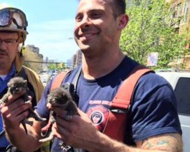 Firefighter Rescued 4 Tiny Kittens From Fire!