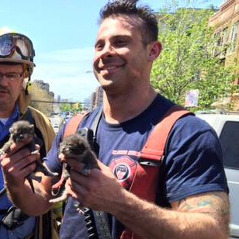 Firefighter Rescued 4 Tiny Kittens From Fire!