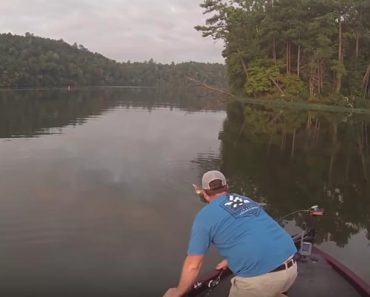 Alabama Fishermen Rescue Kittens From A River!