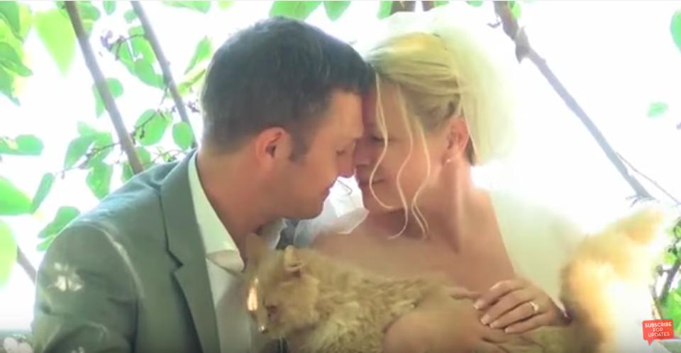 Canadian Couple Get Married At a Cat Sanctuary