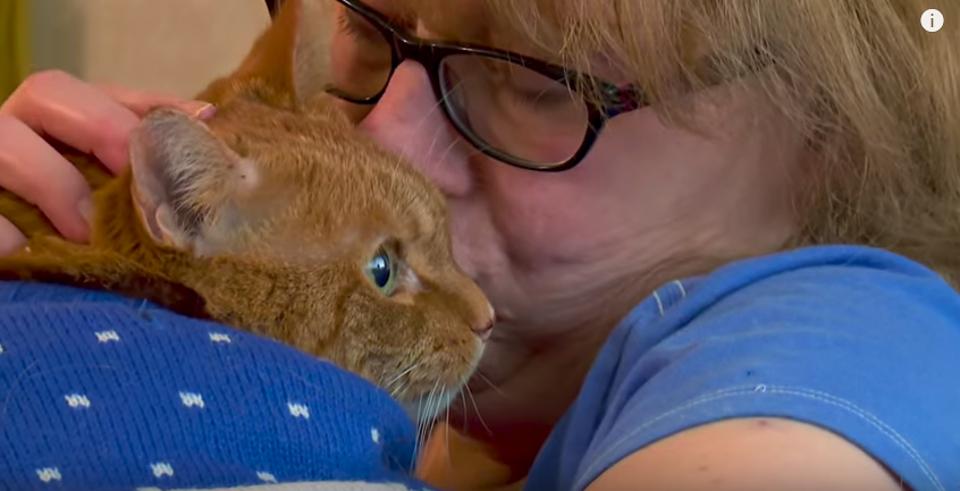 Hero Cat Saved His Owner In A Fire