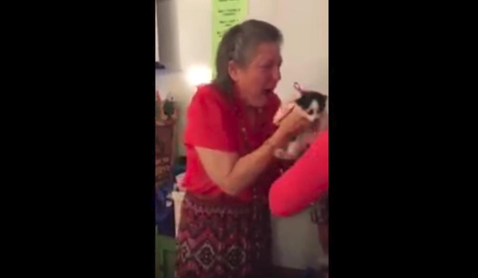 Teacher Surprised With Two Kittens After Her Cat Died