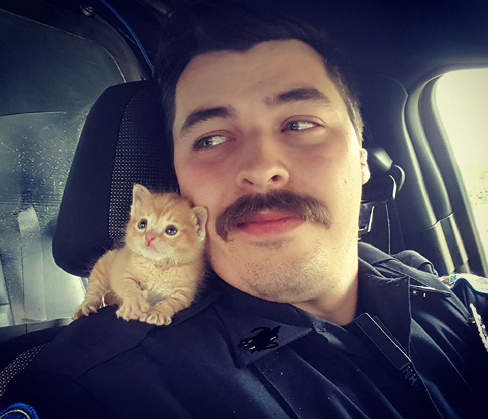 The Purrfect Partner For A Cop!