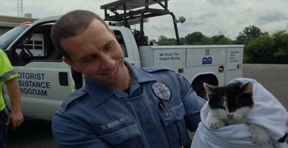 Kitten Rescued After He Was Tossed From Moving Car!