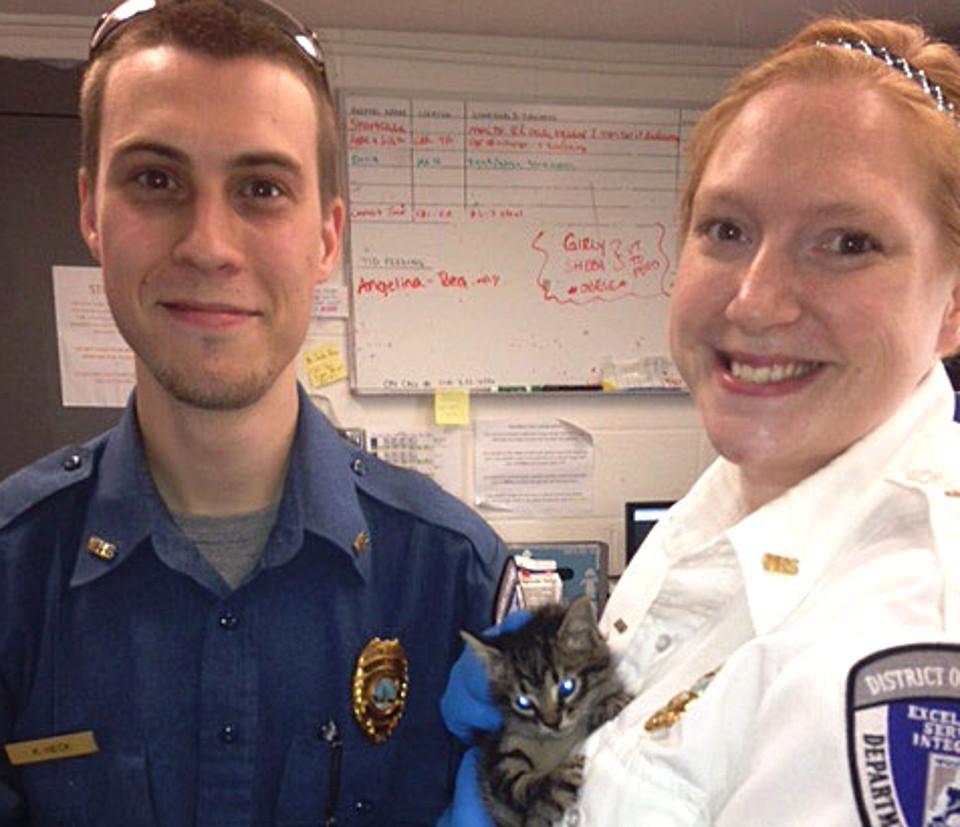 Kitten Rescued From Metro Tracks