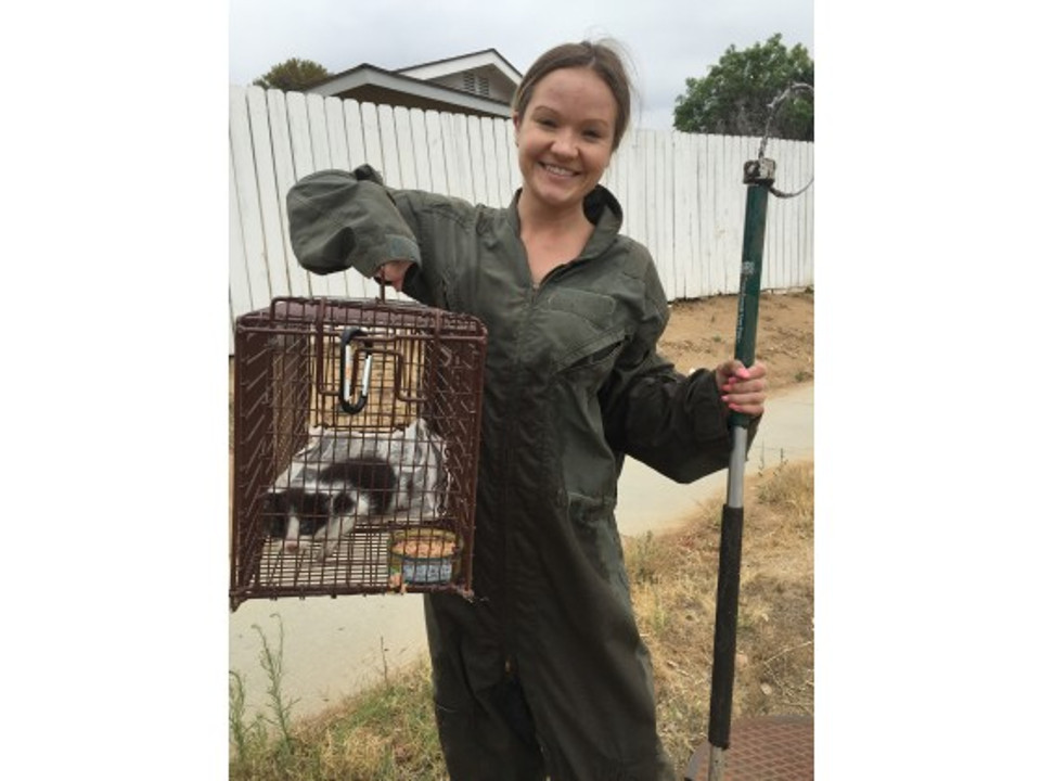 Kitten Rescued From Storm Drain!