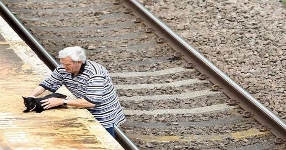 Pensioner Rescues Injured Cat From Railway Line!