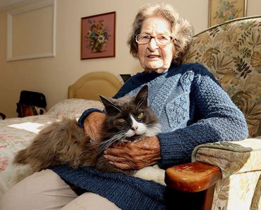 Cat Tracks The Owner That She Was Separated With In A Nursing Home