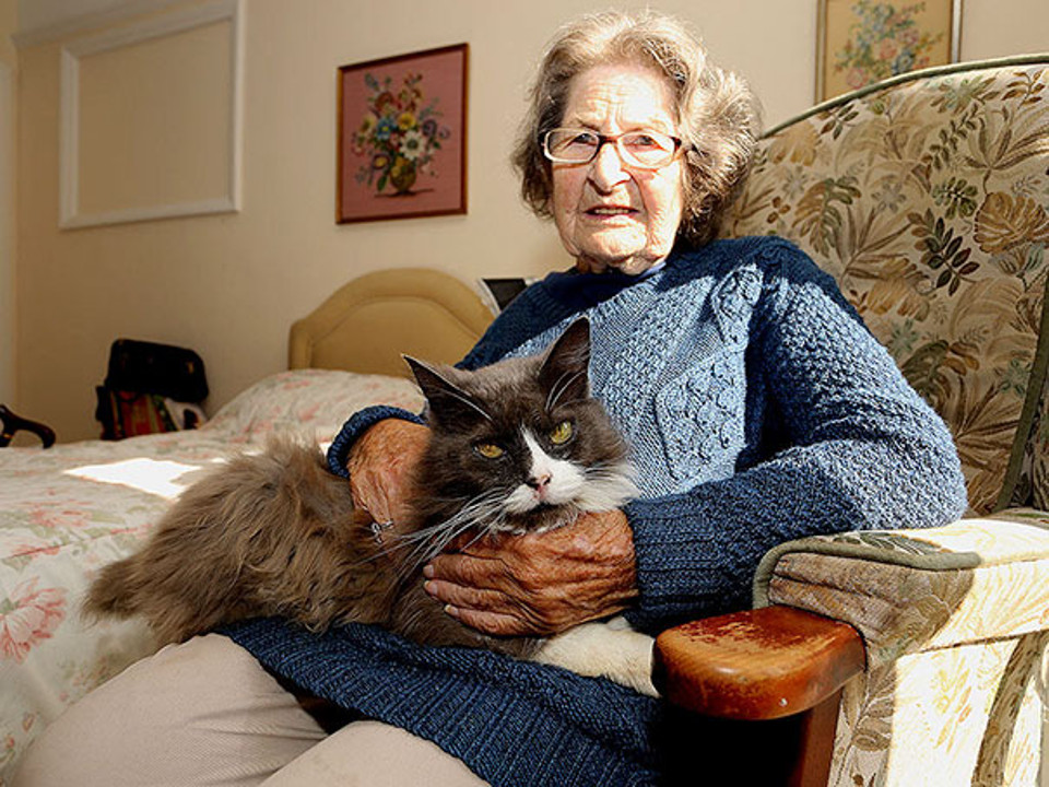 Cat Tracks The Owner That She Was Separated With In A Nursing Home