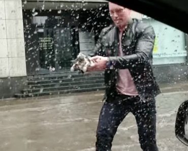 Helpless Kitten Rescued By Heroic Man