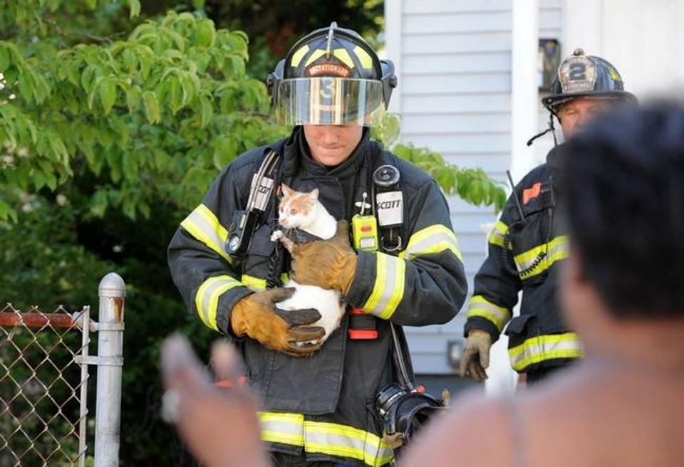 Woman Rescued Three Kittens From Fire. But Cat Mother Needed Also To Be Rescued