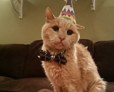 On November 19th, Tigger Turned 22!