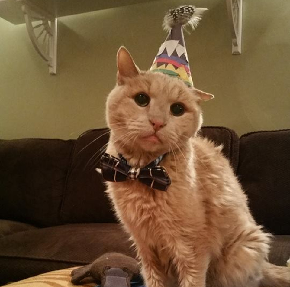 On November 19th, Tigger Turned 22!