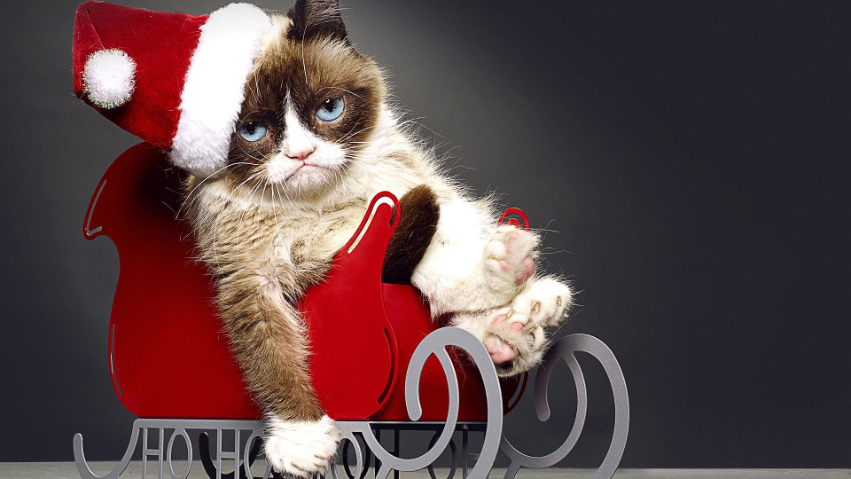 Grumpy Cat’s Worst Christmas Ever!