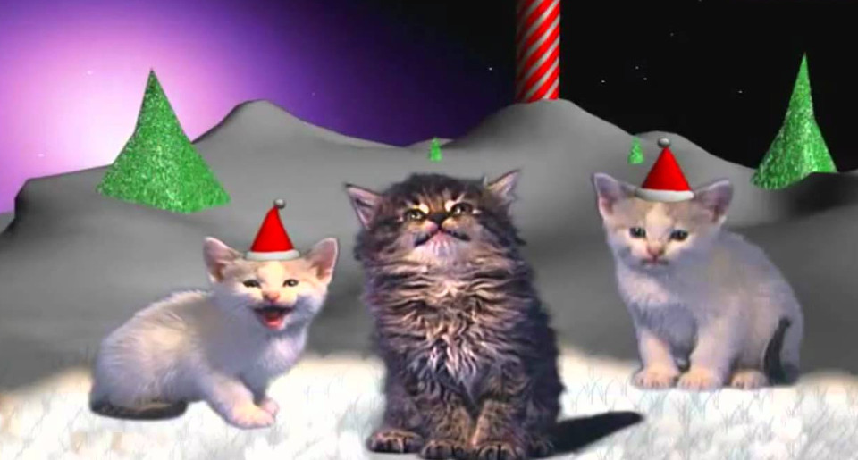 Jingle Cats Silent Night!