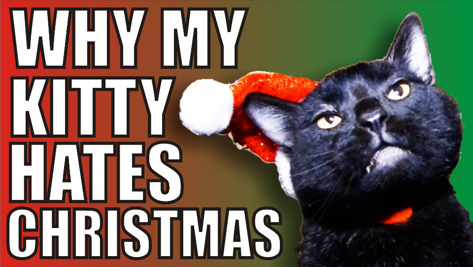 This Kitty Cat Hates Christmas!