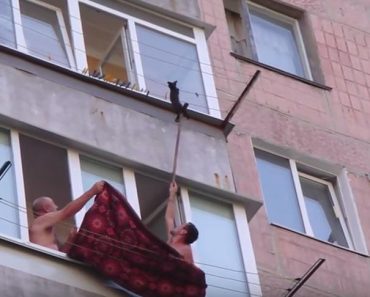 Men Rescue Kitten Hanging on Clothesline!