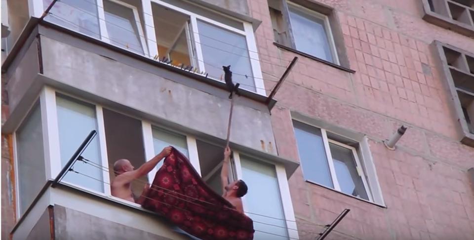 Men Rescue Kitten Hanging on Clothesline!