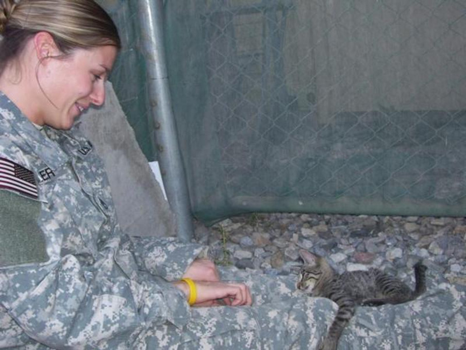 Soldier Refused To Leave Special Needs Kitten Behind