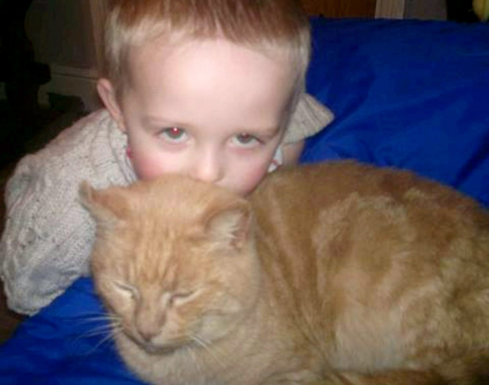 Boy finds lost cat