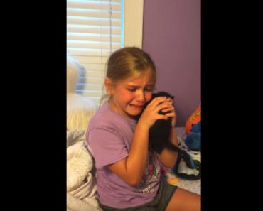 Adorable Girl Is Given A Kitten And She Cries Tears Of Pure Joy!