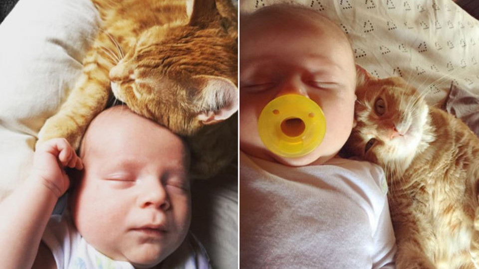 Family’s Newborn Baby And Their Cat Are Now Best Friends!