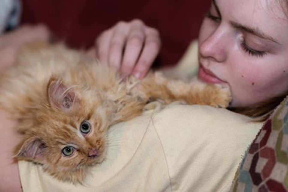 Kitten almost frozen rescued