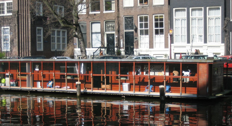 Amsterdam’s Floating Sanctuary for Cats – The Cat Boat