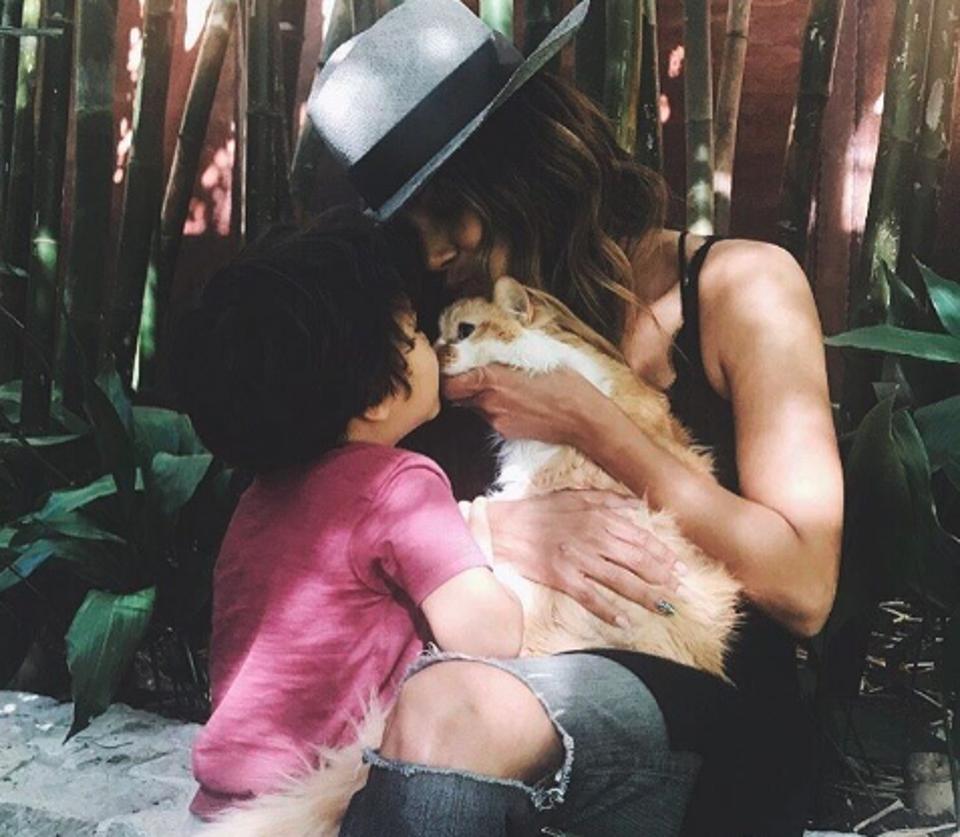 Halle Berry’s Touching Tribute to her Beloved Cat…