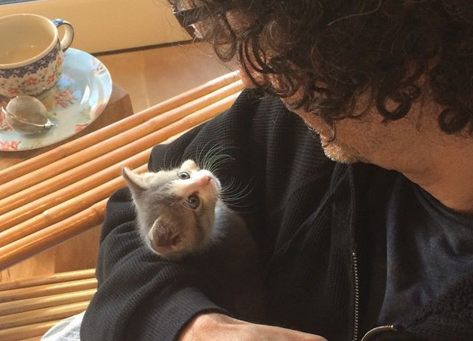 Howard Stern and kitten