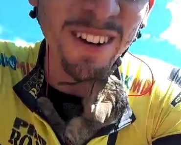 Tiny Kitten Can’t Stop Kissing Cyclist Who Rescued Him