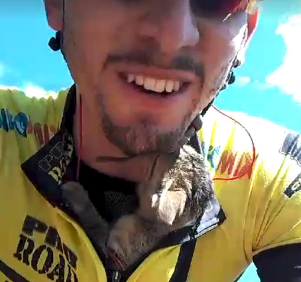 Tiny Kitten Can’t Stop Kissing Cyclist Who Rescued Him