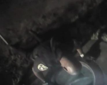 Bodycam Captures Officer Rescuing Small Kitten From Storm Drain!