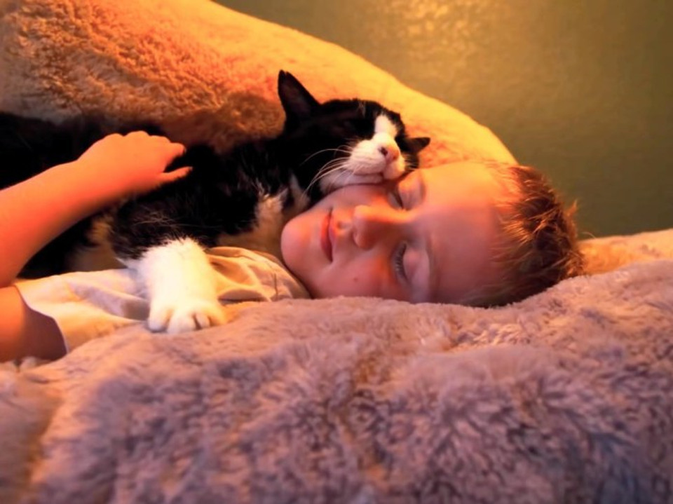 Family Adopted a 20 Year Old Cat From Shelter  And Made The Last Part Of His Life The Happiest