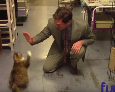 Hilarious Low-Budget Animal Shelter Commercial  Goes Viral!