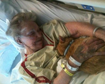 Elderly Woman’s Dying Wish Is To See Her Best Friend One Last Time To Say Goodbye