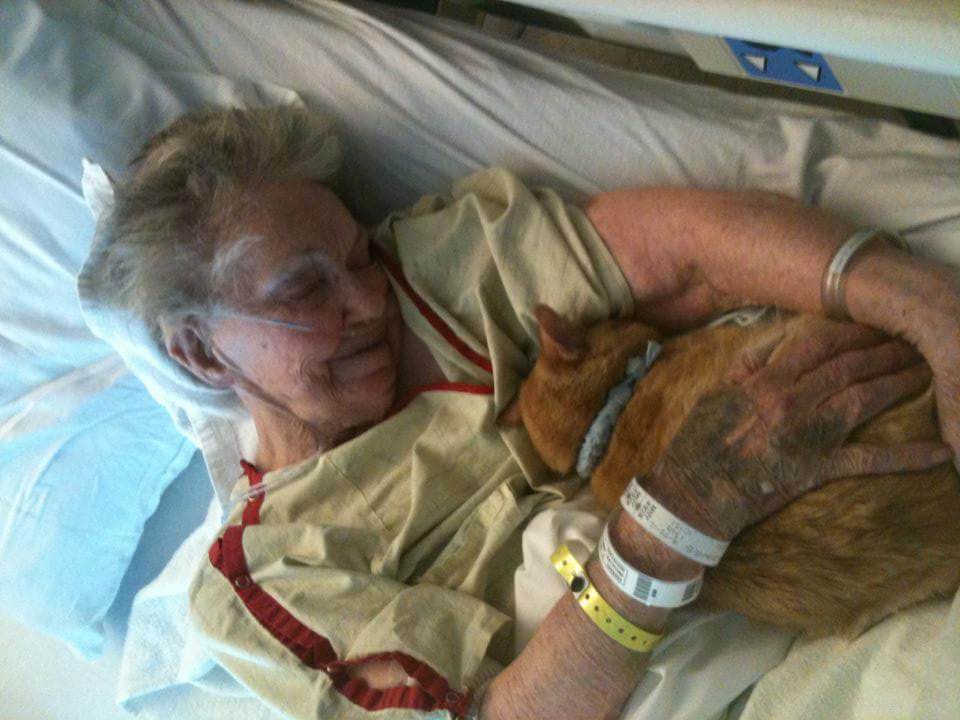 Elderly Woman’s Dying Wish Is To See Her Best Friend One Last Time To Say Goodbye