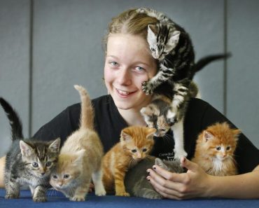 Girl Uses Birthday Money To Save 14 Abandoned Kittens