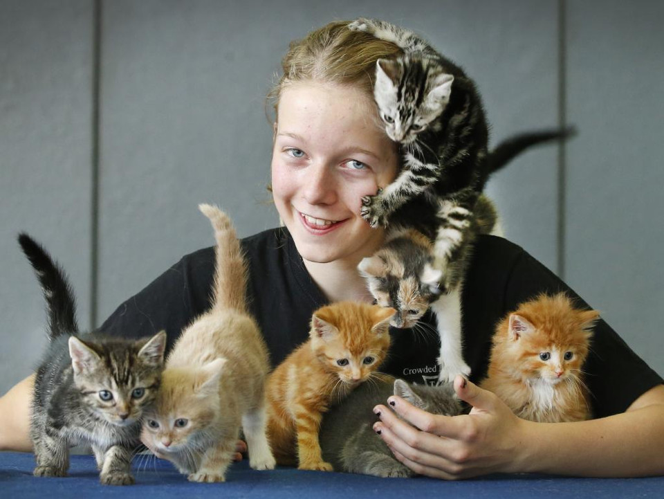 Girl Uses Birthday Money To Save 14 Abandoned Kittens