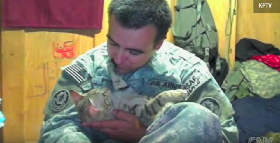 Soldier Reunites With Cat He Rescued In Afghanistan